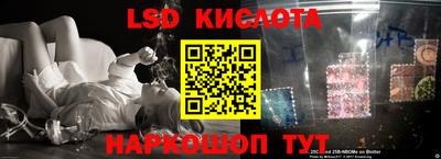 a pvp Кингисепп