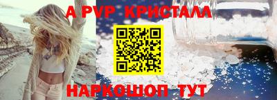 a pvp Кингисепп