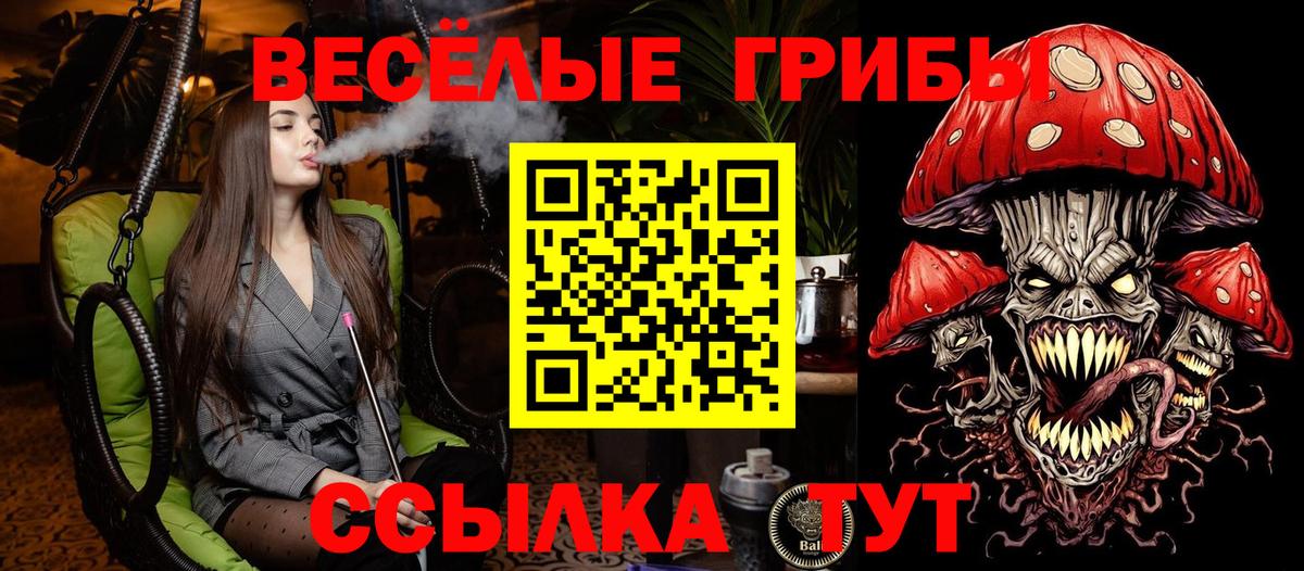 Псилоцибиновые грибы MAGIC MUSHROOMS Коммунар