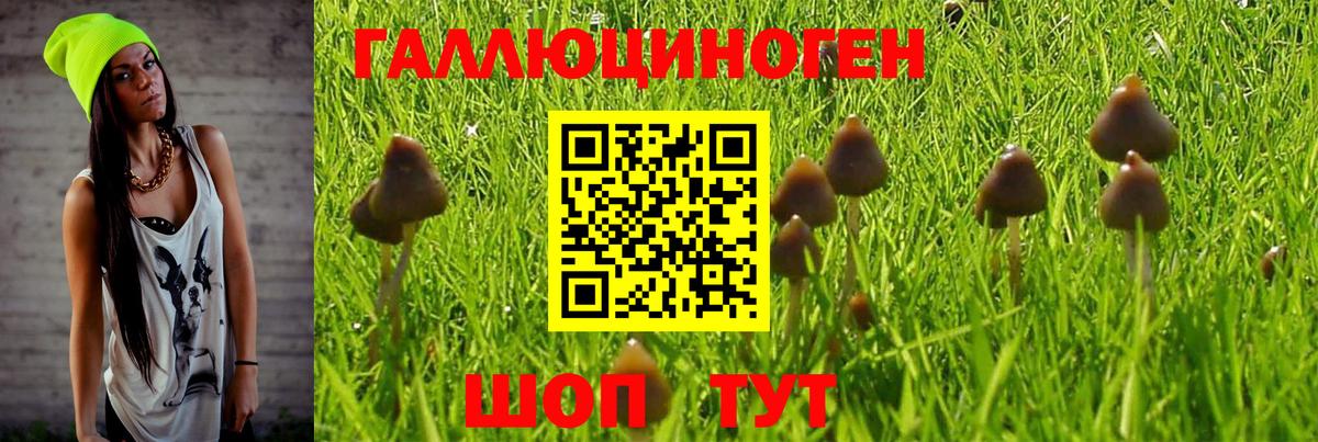 ЭКСТАЗИ Коммунар