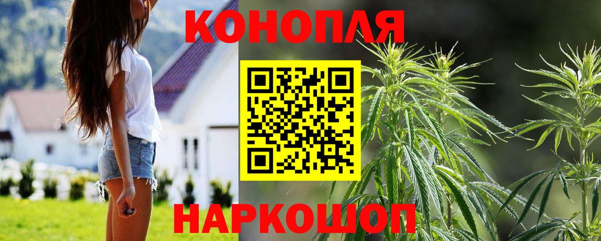 Бошки марихуана сатива Коммунар